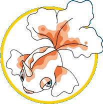 goldeen.gif