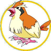 pidgey.gif