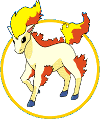 ponyta.gif