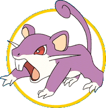 rattata.gif